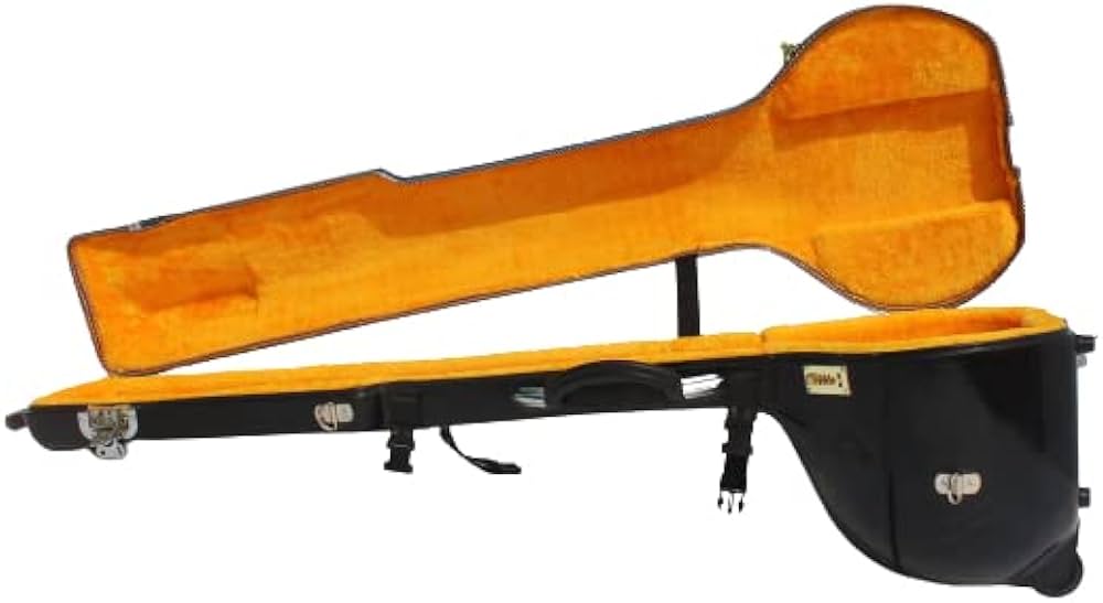 Sitar hard case