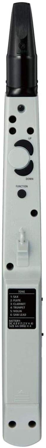 Roland AE-01 Aerophone Mini Digital Wind Instrument