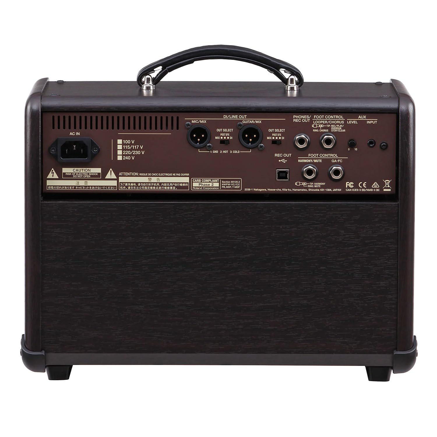 Boss Acoustic Singer Live ACS Live (Acoustic Amplifier)