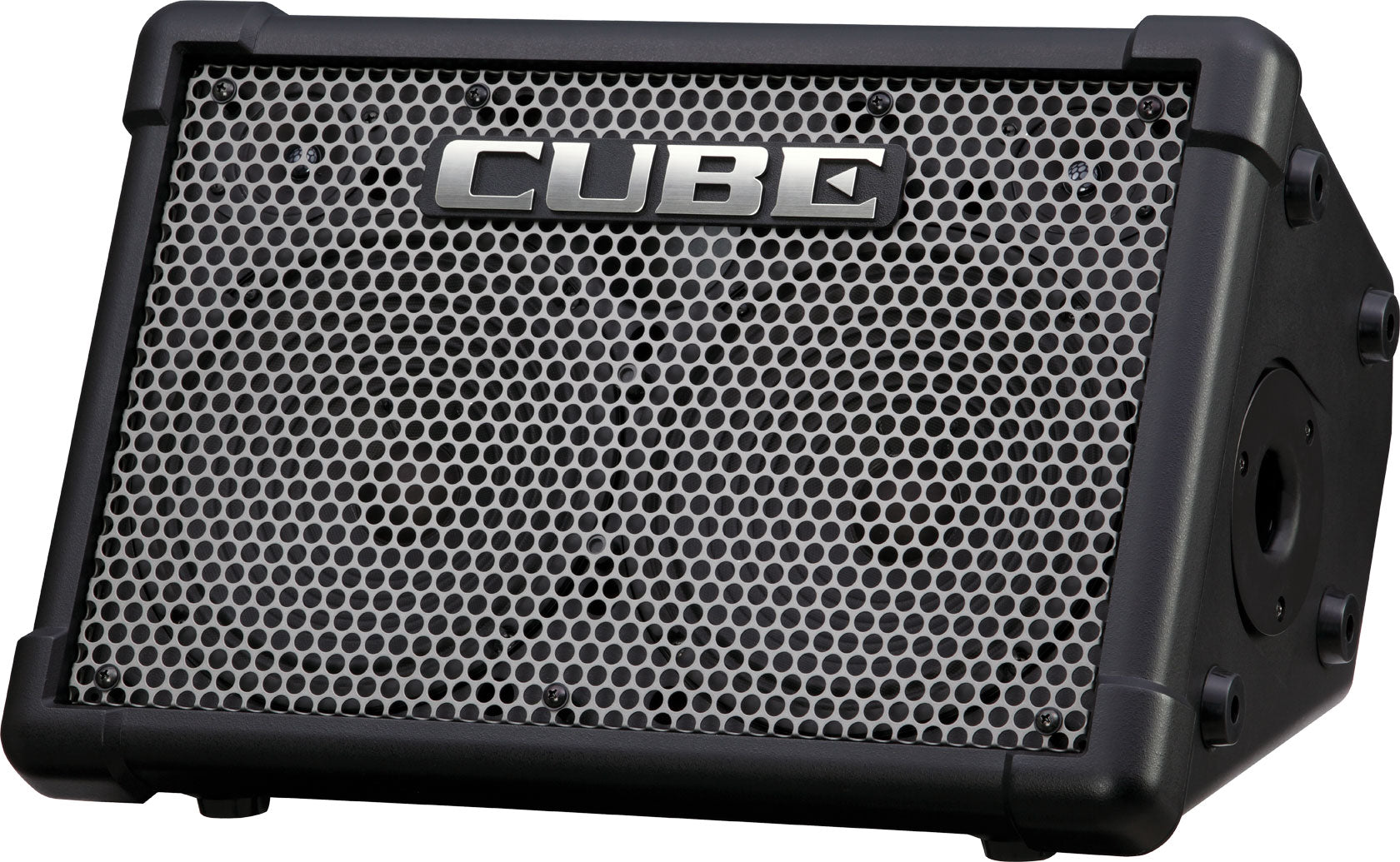 Roland CUBE Street EX & nbsp; Multi-Instrument Battery Amplifier