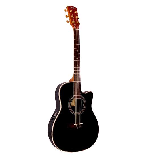 Hertz HZR4002E Semi Acoustic Guitar