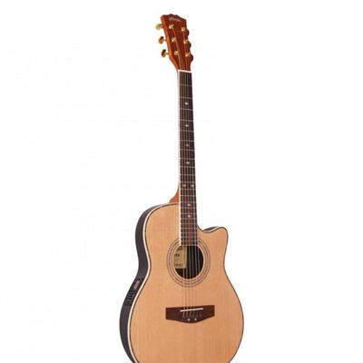 Hertz HZR4002E Semi Acoustic Guitar