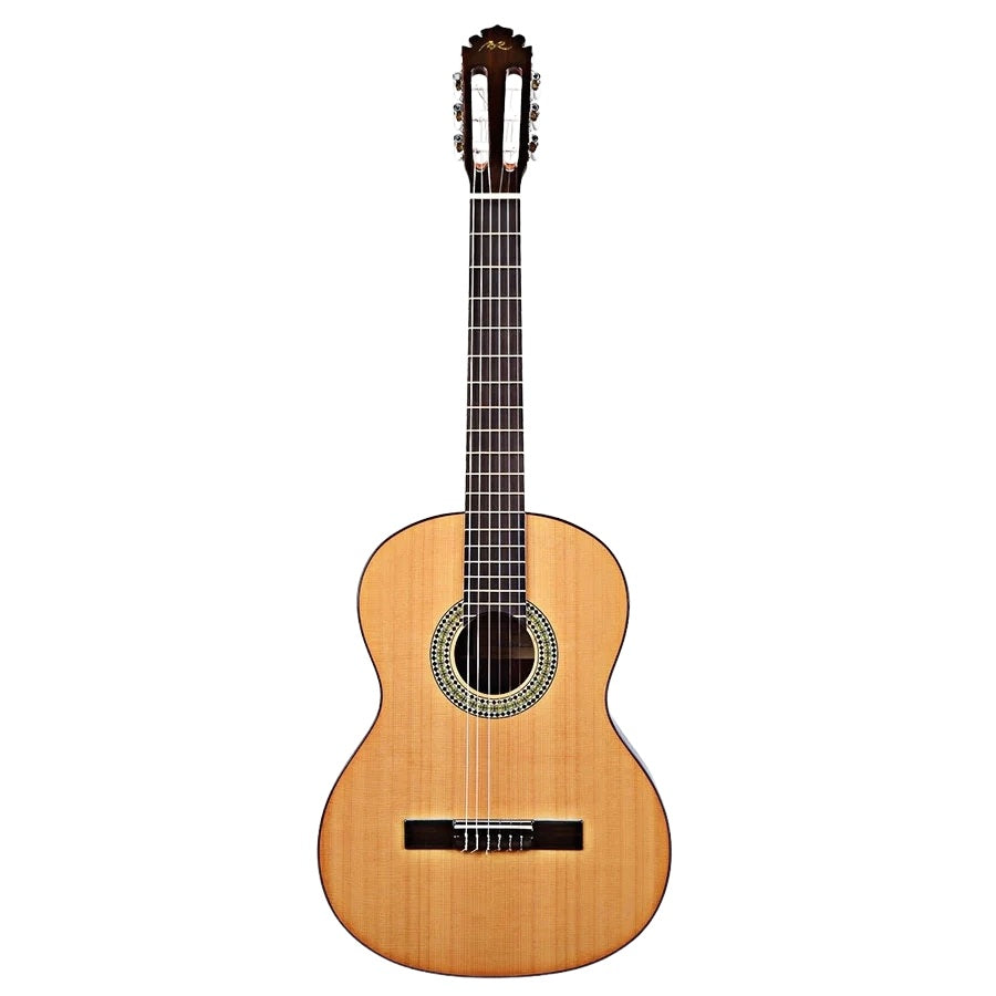 Yamaha CGX102 Semi Classical Guitar