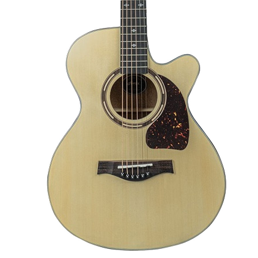 HERTZ HZA3900  ACOUSTIC GUITAR