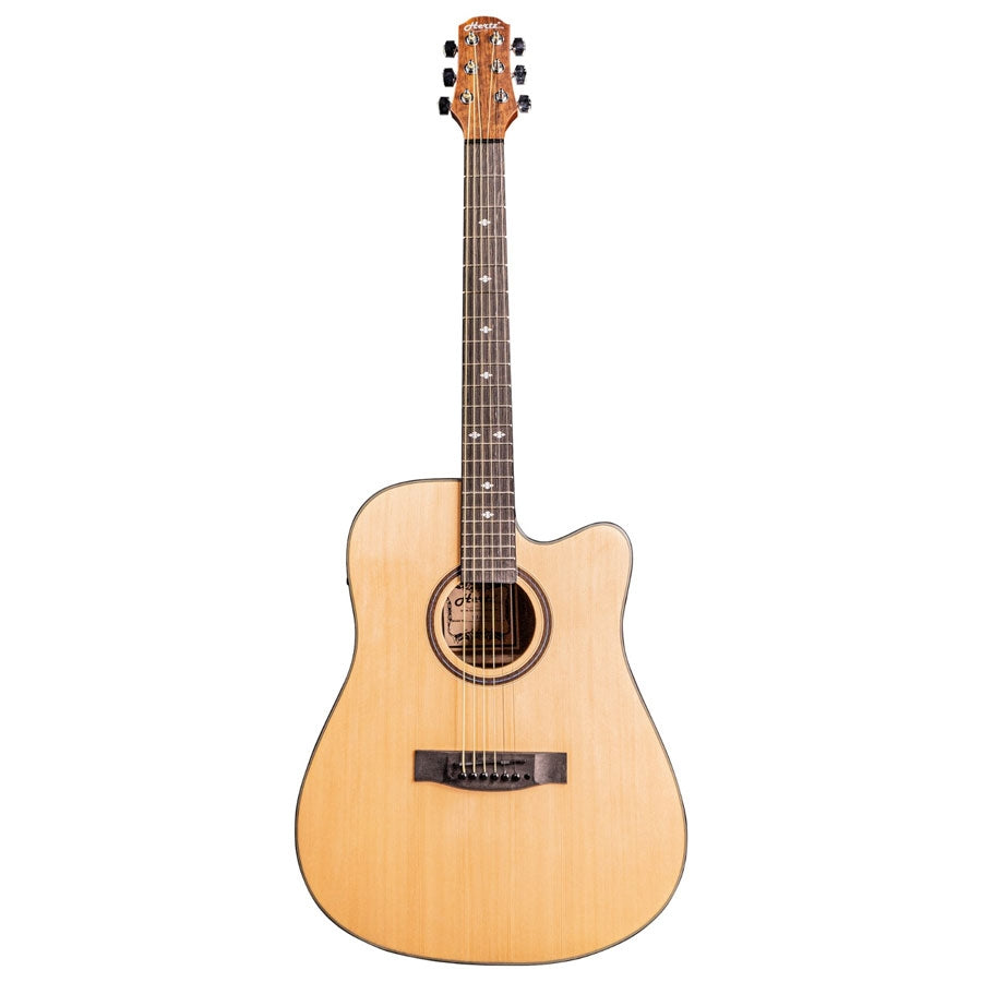 Hertz HZA9800 NA Acoustic Guitar