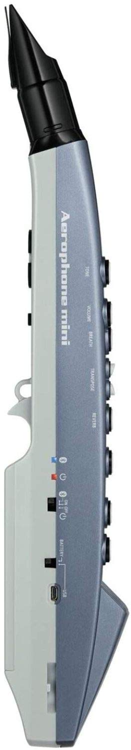Roland AE-01 Aerophone Mini Digital Wind Instrument