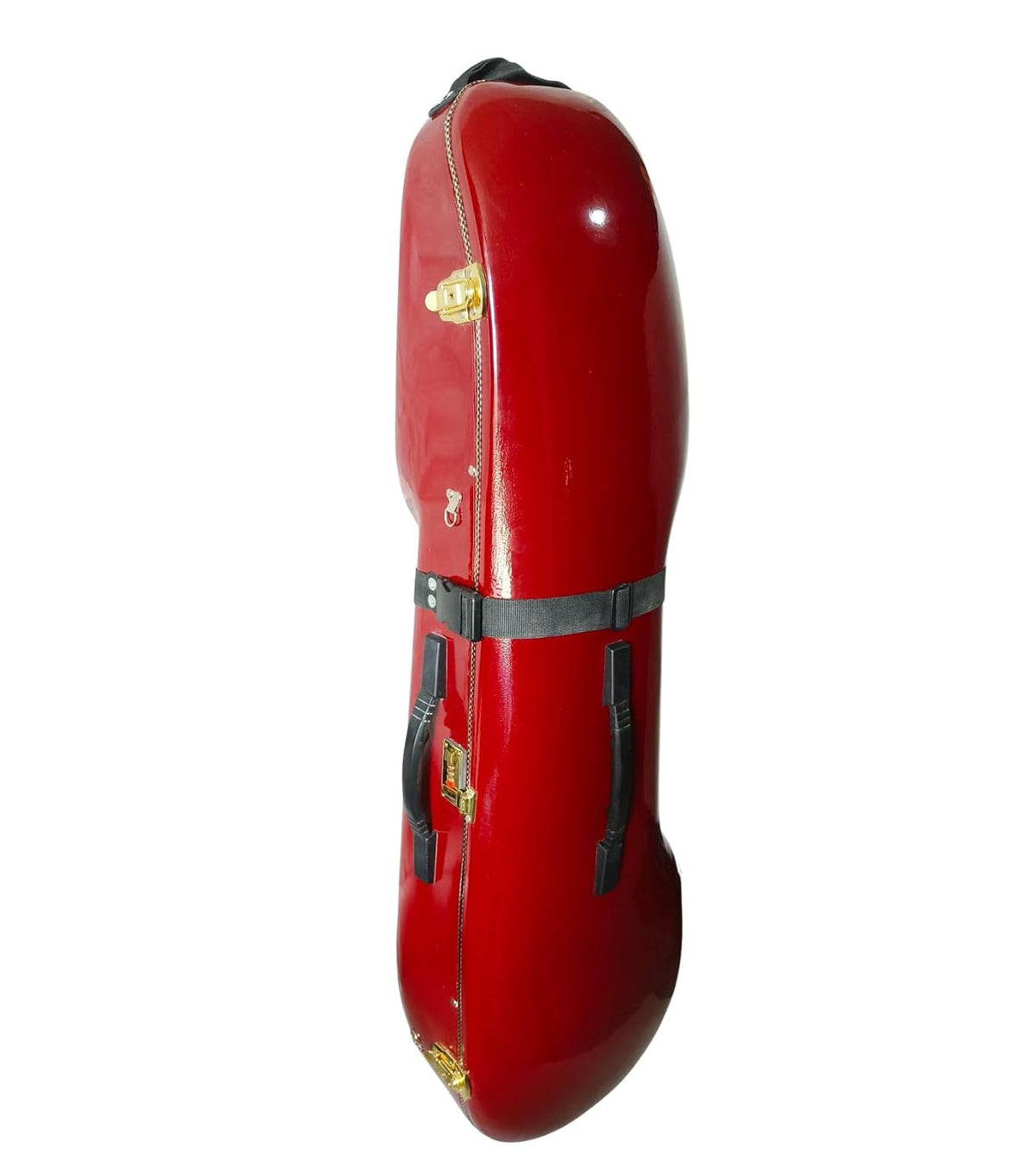 Sarod Durable Fiber Case
