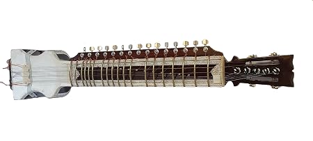 Dilruba Tune Wood With Fiber Box