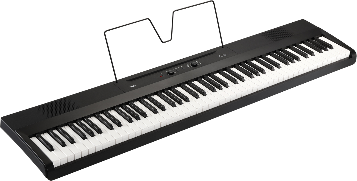 Korg, Digital Piano, Liano