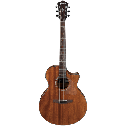 Ibanez AE Series AE295 LGS Acoustic Guitar