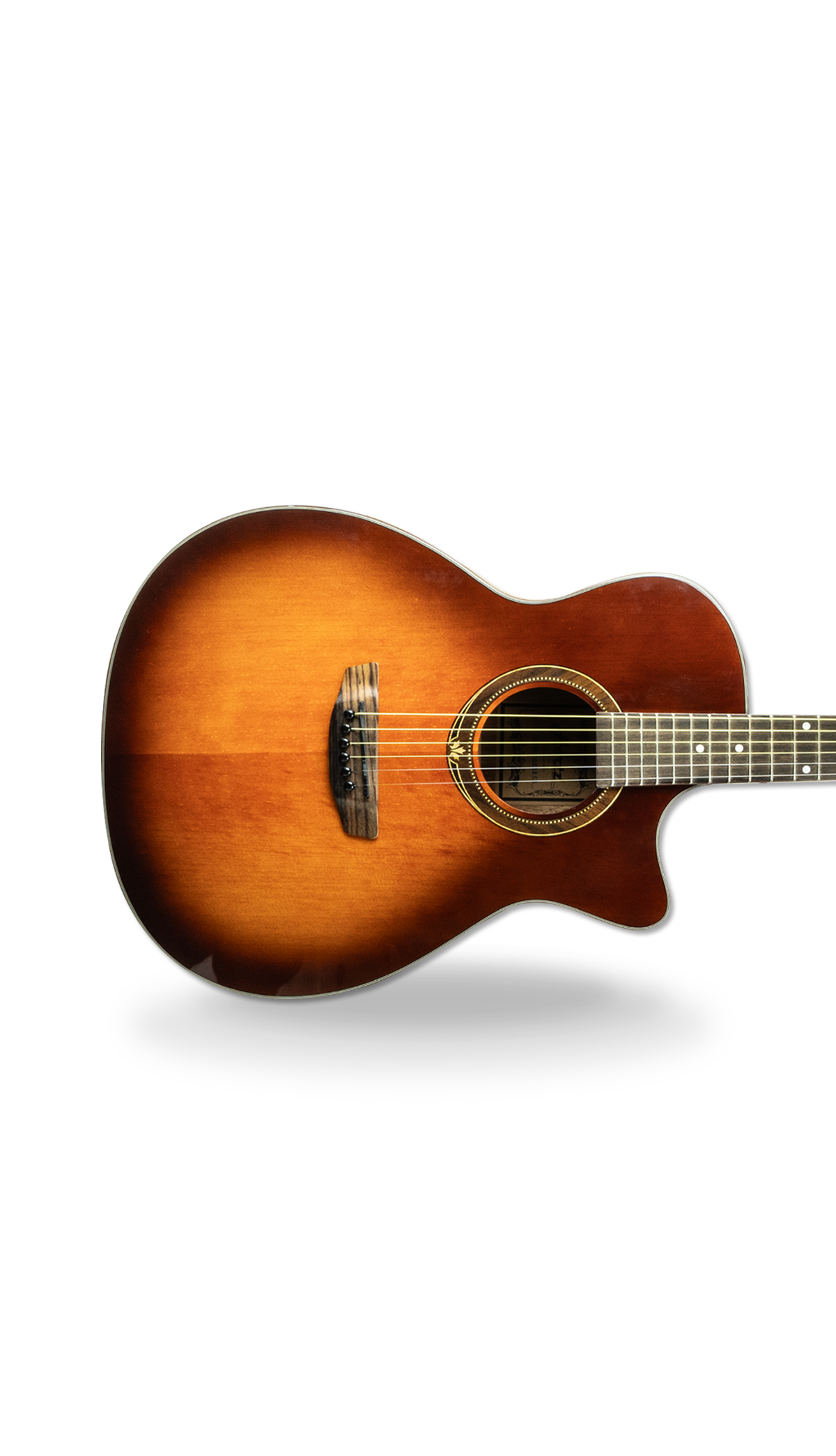 HERTZ AMS 070 EQ Trans Acoustic Guitar
