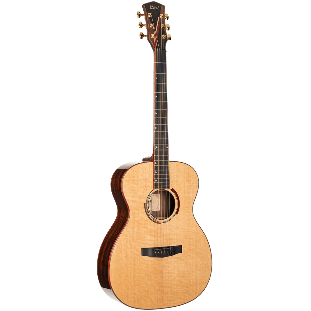 Cort Abstract Delta Natural Semi Acoustic Guitar