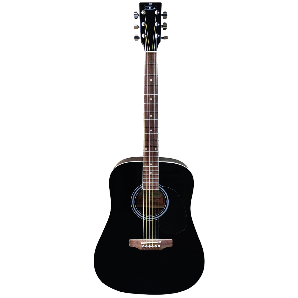 Pluto Acoustic Guitar 201 series Dreadnought HW41-201