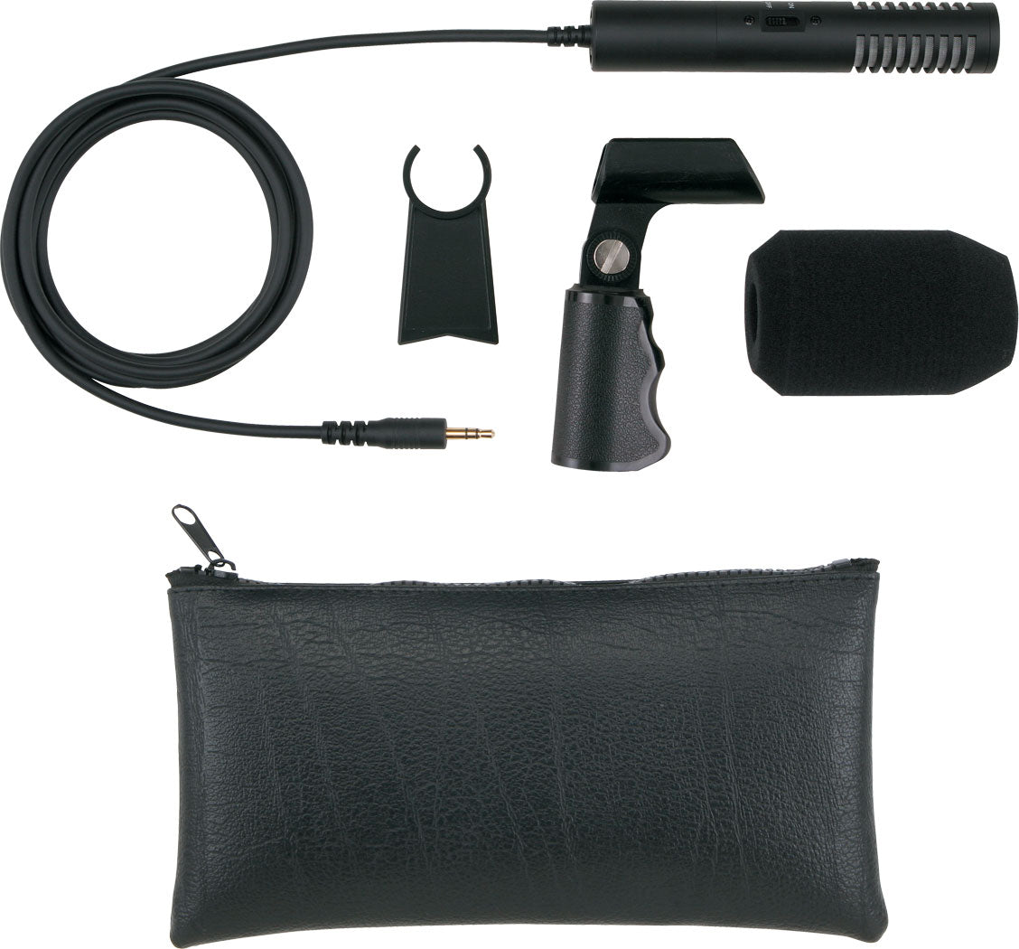 Roland CS-15 Stereo Microphone Kit