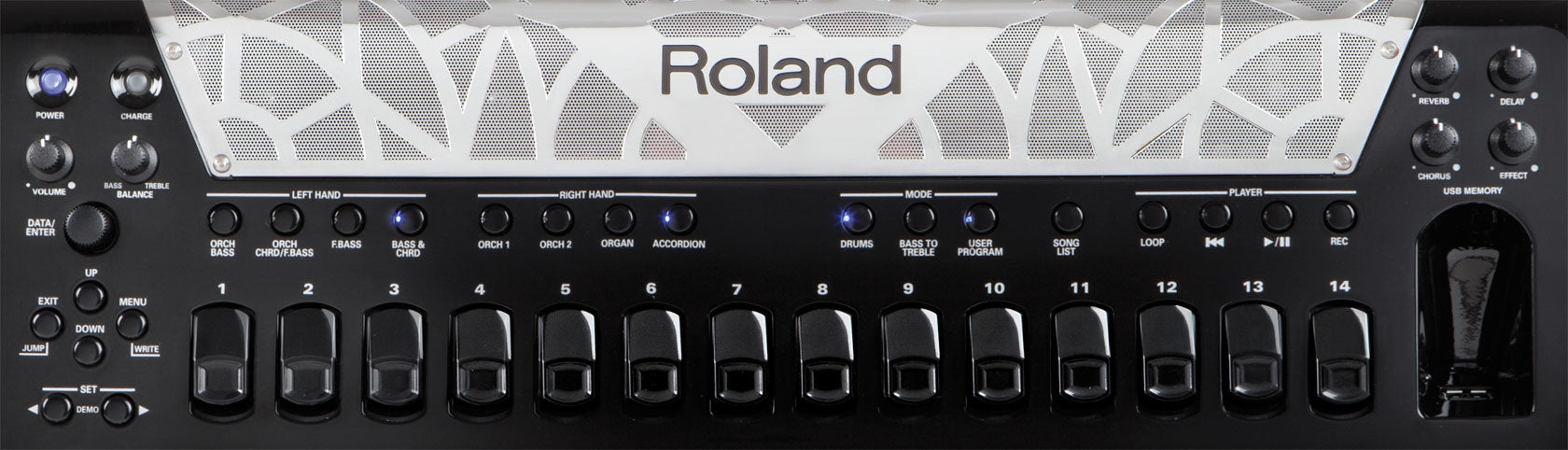 ROLAND FR-8X (R V-Accordion)