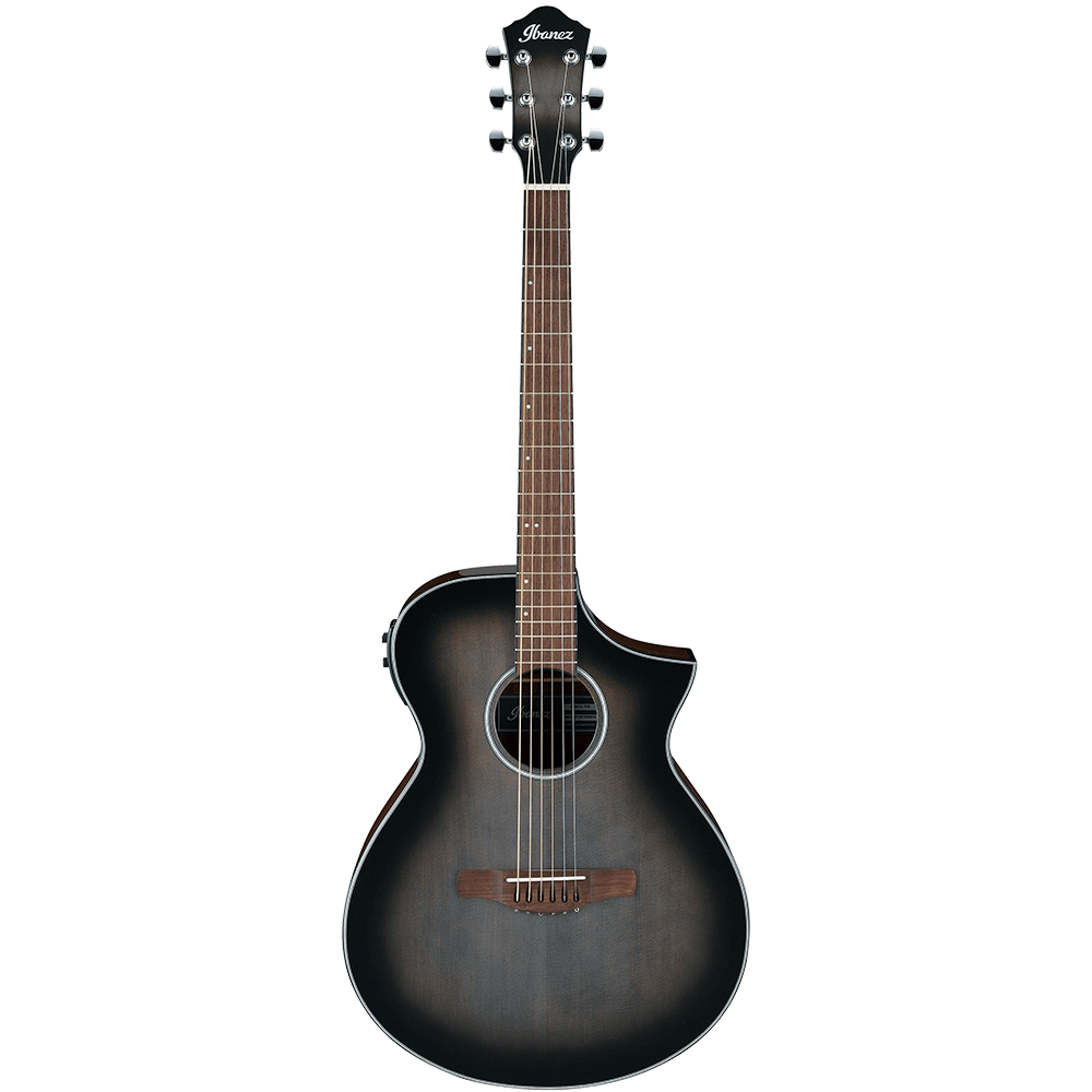 Ibanez AEWC Series AEWC11 Semi Acoustic Guitar