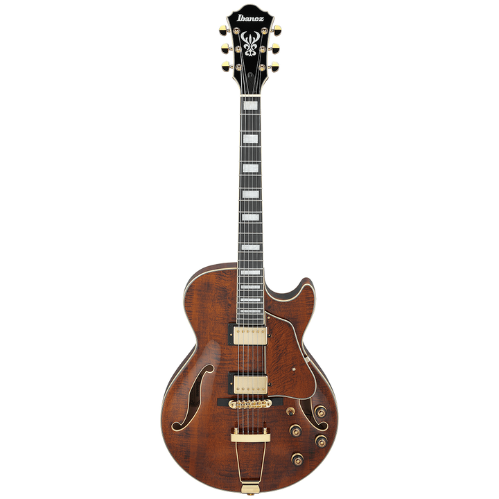 Ibanez AG Artcore Expressionist AG95MG-DA Hollow Body Guitar