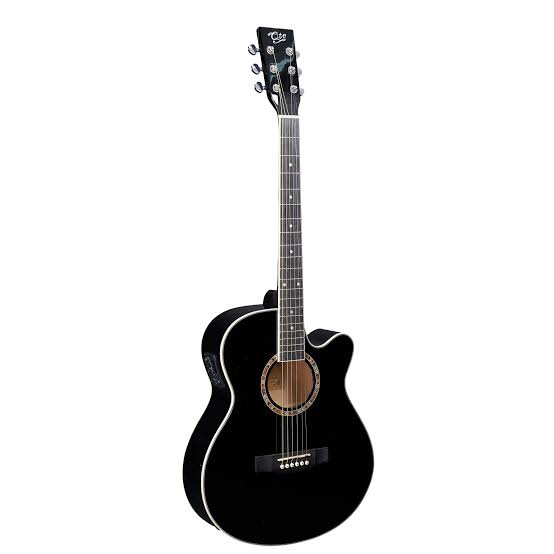 Mercury QTE 40 Acoustic Guitar