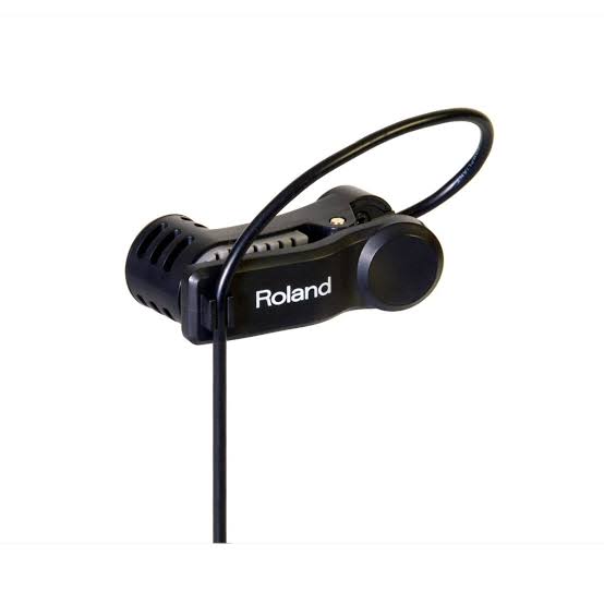 Roland EC-10M ELCajon Mic Processor