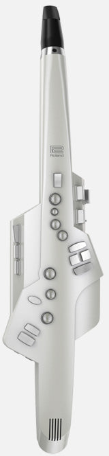 Roland AE-10 Aerophone Digital Wind Instrument