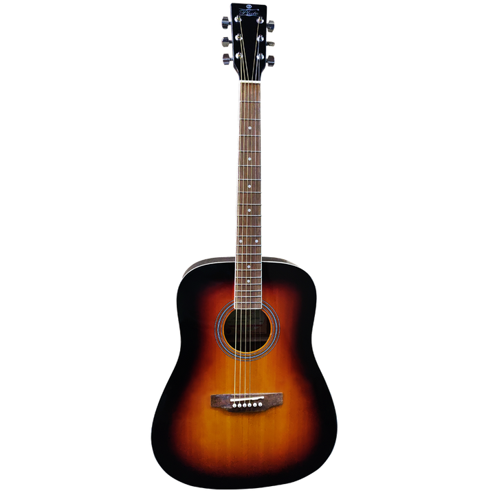 Pluto Semi Acoustic Guitar 201 series Dreadnought W/ Pickup HW41-201P