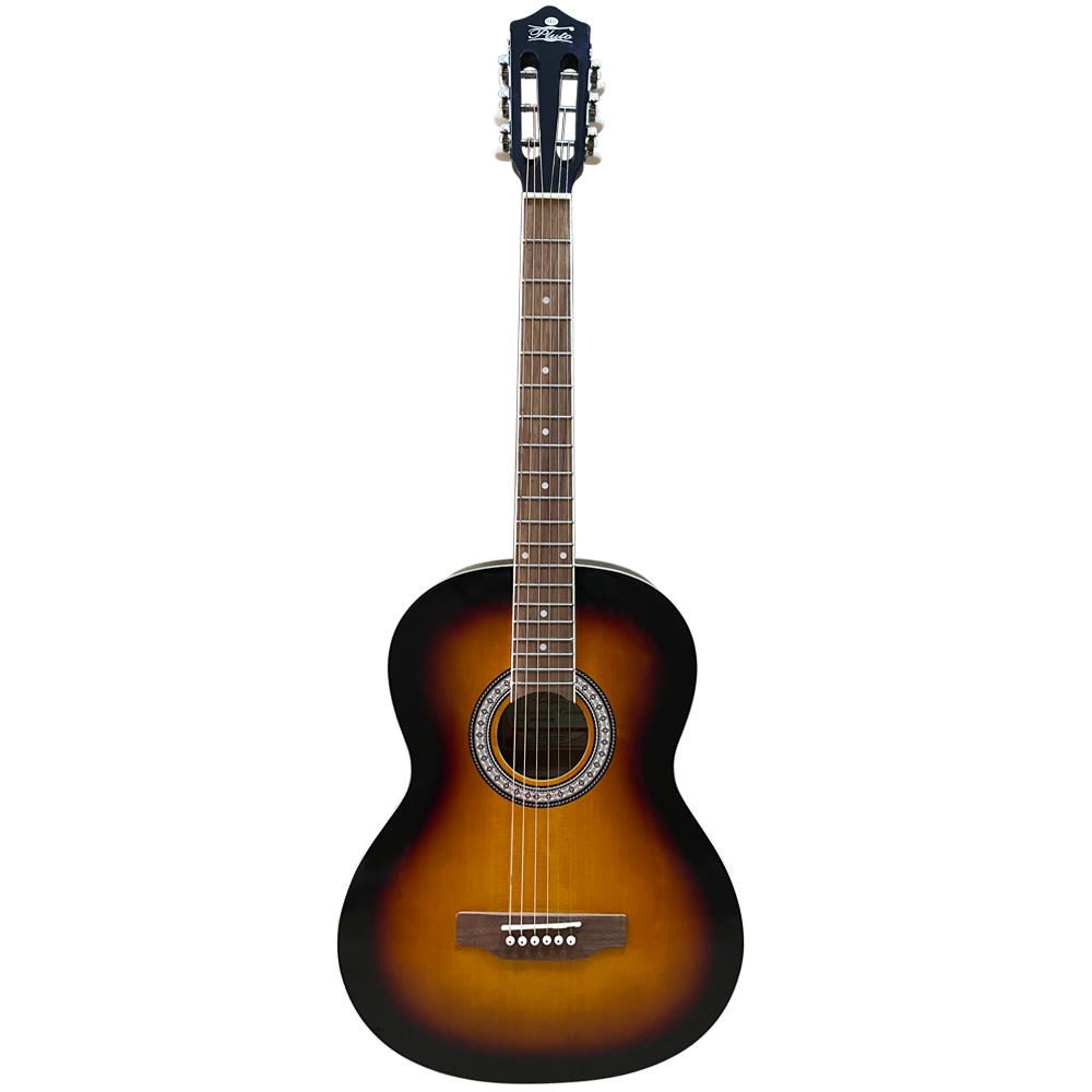 Pluto Acoustic Guitar 201 series Medium HW39-201