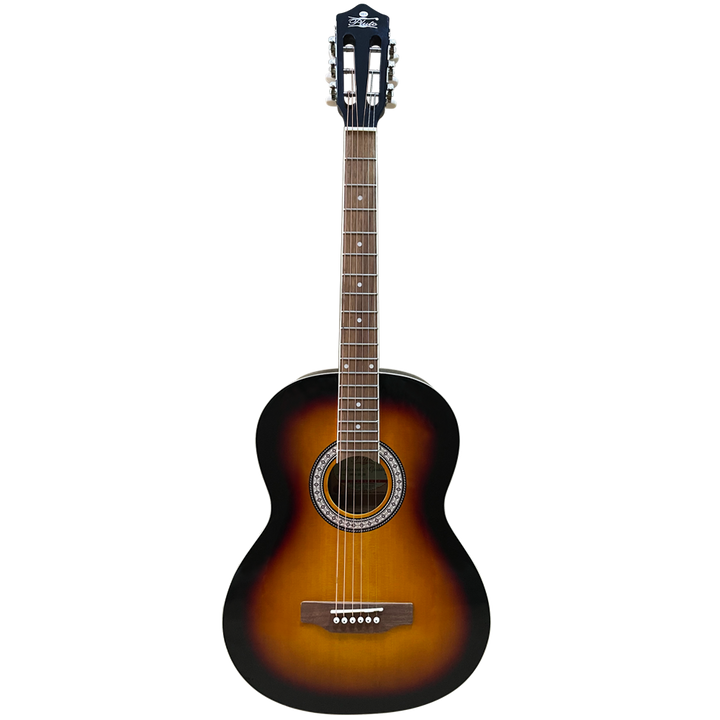 Pluto Acoustic Guitar 201 series Medium HW39-201