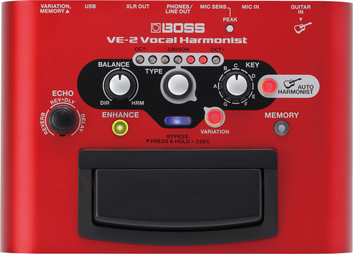 Roland VE-2 Vocal Processor, Multi-Colored